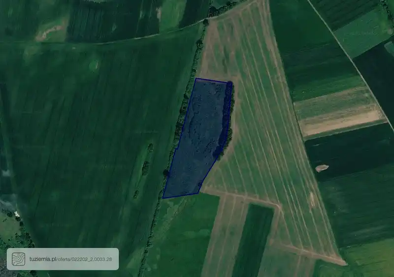 Działka na sprzedaż Dąbie