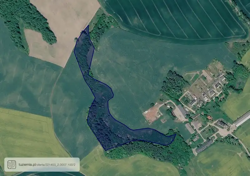 Działka na sprzedaż Królów Las