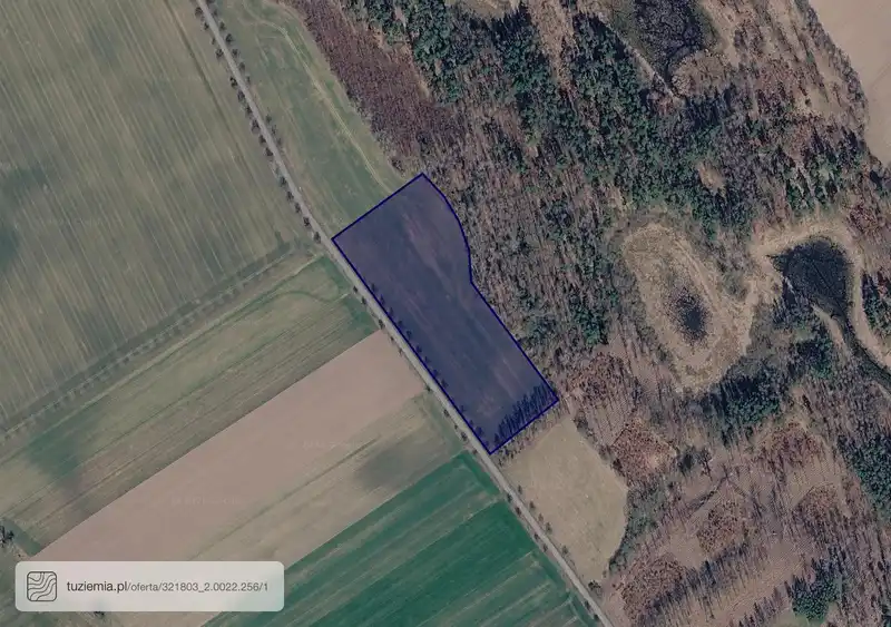 Działka na sprzedaż Borkowo Wielkie