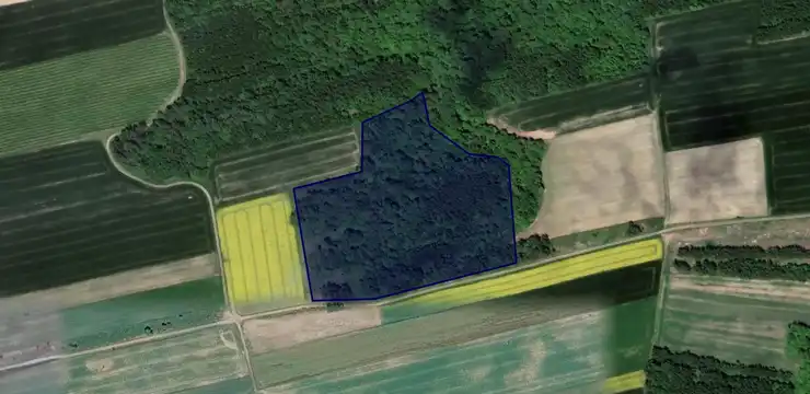 Działka na sprzedaż - LUBELSKIE, chełmski, Wojsławice, Stary Majdan 509
