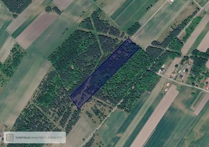 Działka na sprzedaż Wierzbica