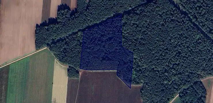 Działka na sprzedaż - PODLASKIE, białostocki, Juchnowiec Kościelny, Pańki 142