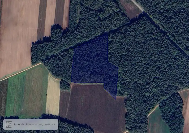Działka na sprzedaż Pańki