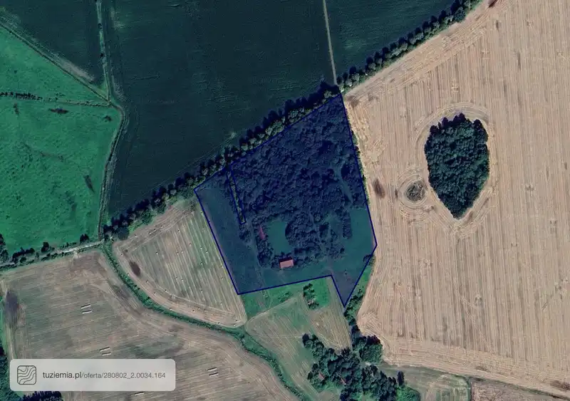 Działka na sprzedaż Momajny