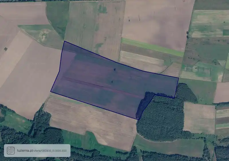 Działka na sprzedaż Leśniów Wielki