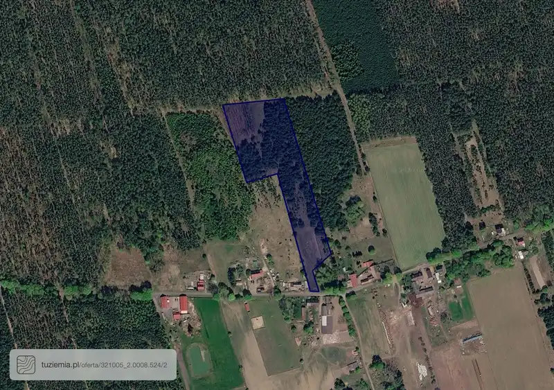 Działka na sprzedaż Trzcinna