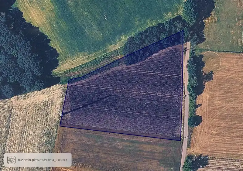 Działka na sprzedaż Dzimierz
