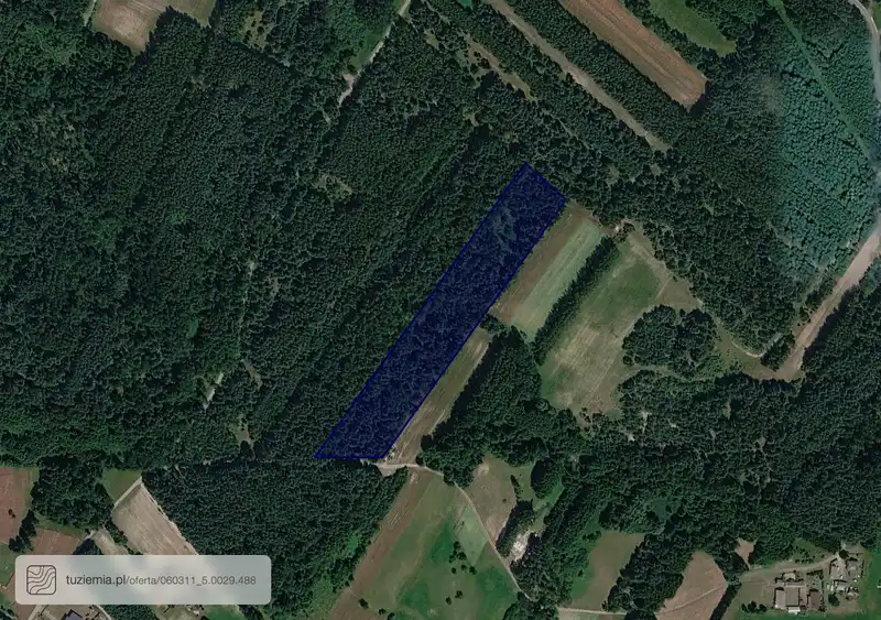 Działka na sprzedaż Wola Korybutowa Pierwsza