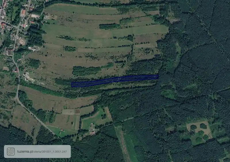 Działka na sprzedaż 0001 Gozdnica