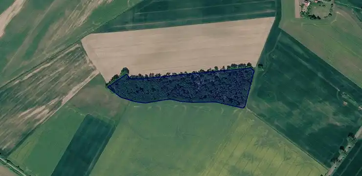 Działka na sprzedaż - POMORSKIE, malborski, Miłoradz, Mątowy Małe 287/4