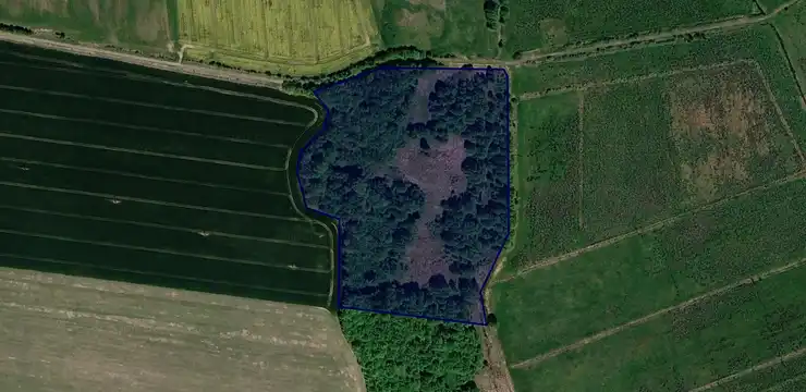 Działka na sprzedaż - ZACHODNIOPOMORSKIE, gryficki, Trzebiatów, Sadlno 440/4