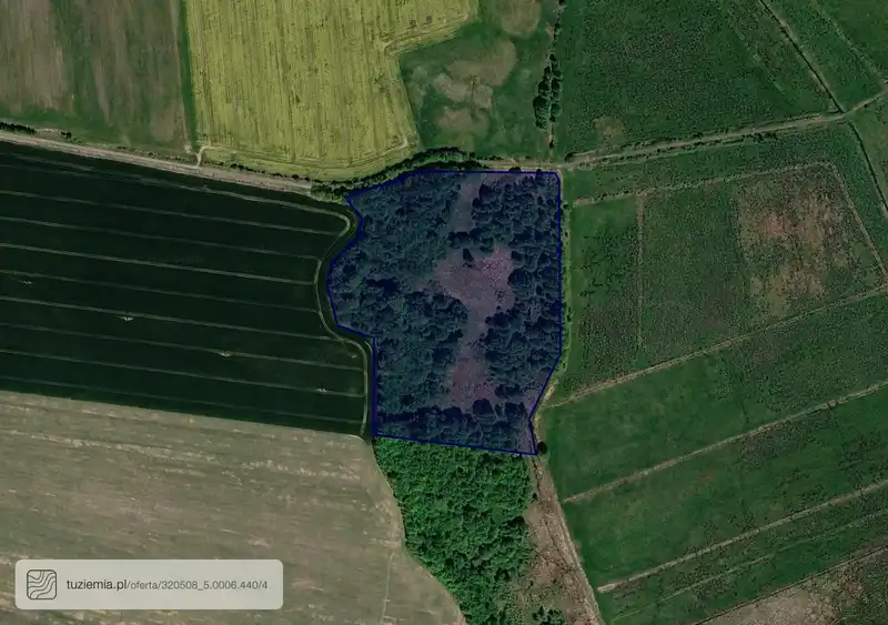 Działka na sprzedaż Sadlno