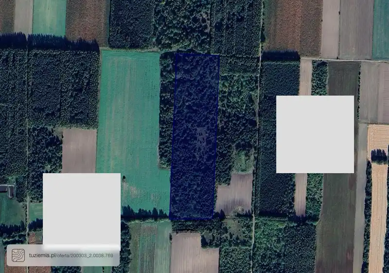Działka na sprzedaż Ploski