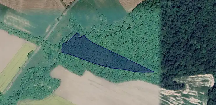 Działka na sprzedaż - POMORSKIE, sztumski, Stary Dzierzgoń, Królikowo 3