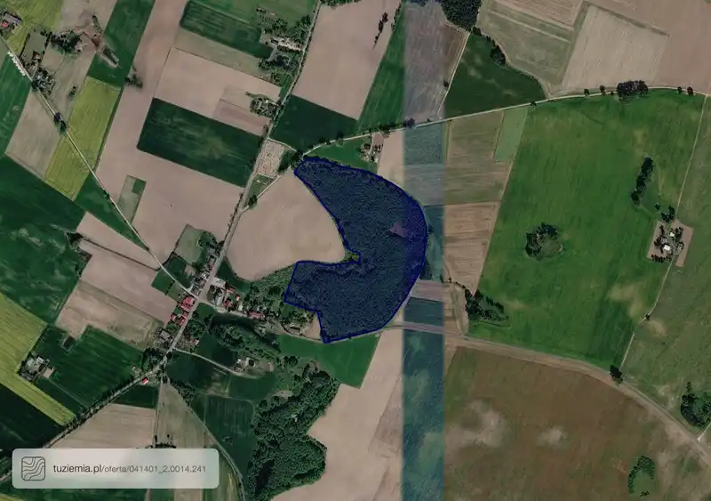 Działka na sprzedaż Polskie Łąki