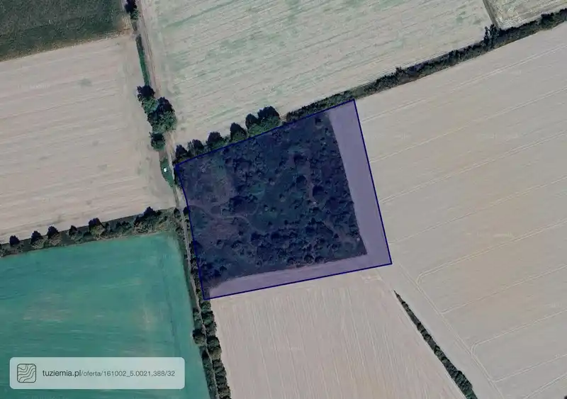 Działka na sprzedaż Rozkochów