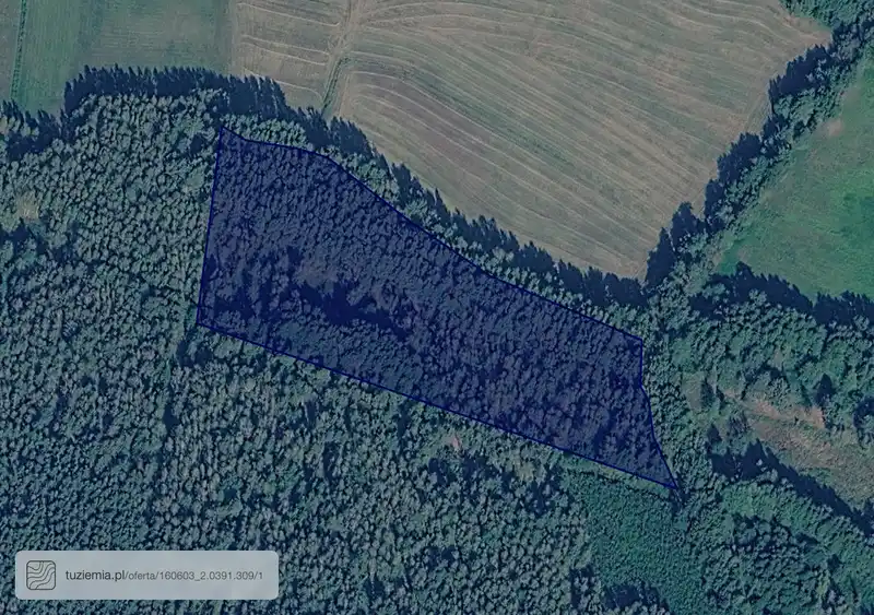 Działka na sprzedaż Dąbrówka Dolna