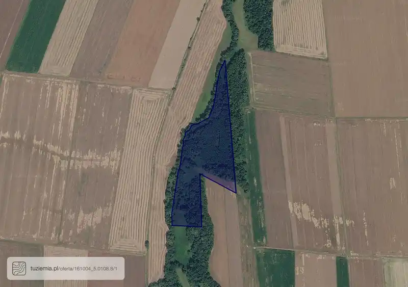 Działka na sprzedaż Mieszkowice