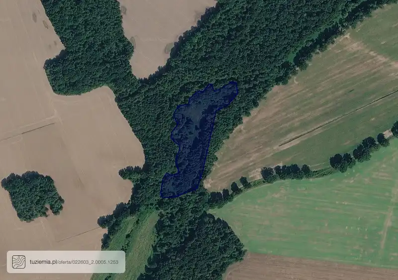 Działka na sprzedaż Proboszczów