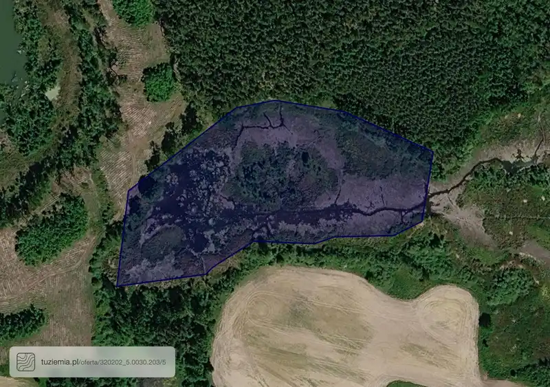 Działka na sprzedaż Golcza