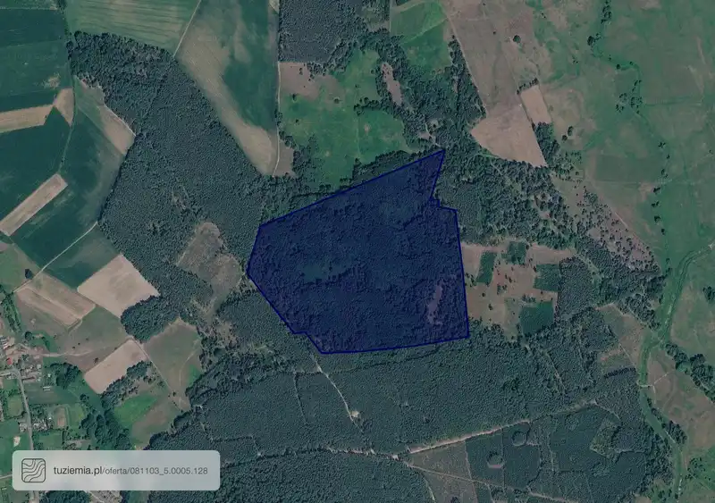 Działka na sprzedaż Grodziszcze