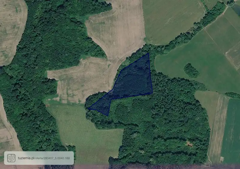 Działka na sprzedaż Stegny