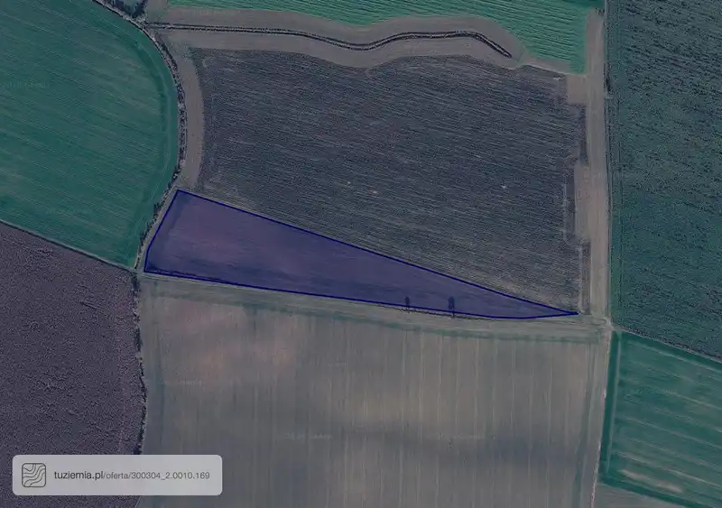 Działka na sprzedaż Łagiewniki Kościelne