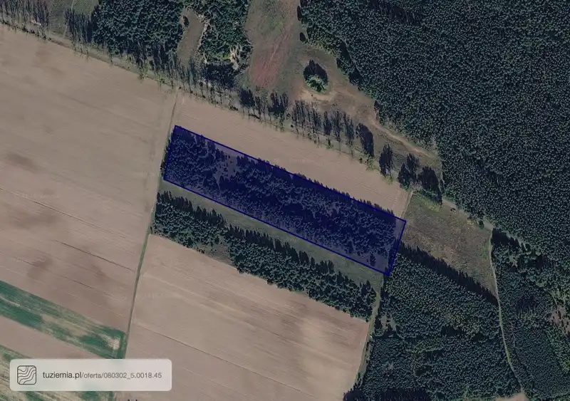 Działka na sprzedaż Szumiąca