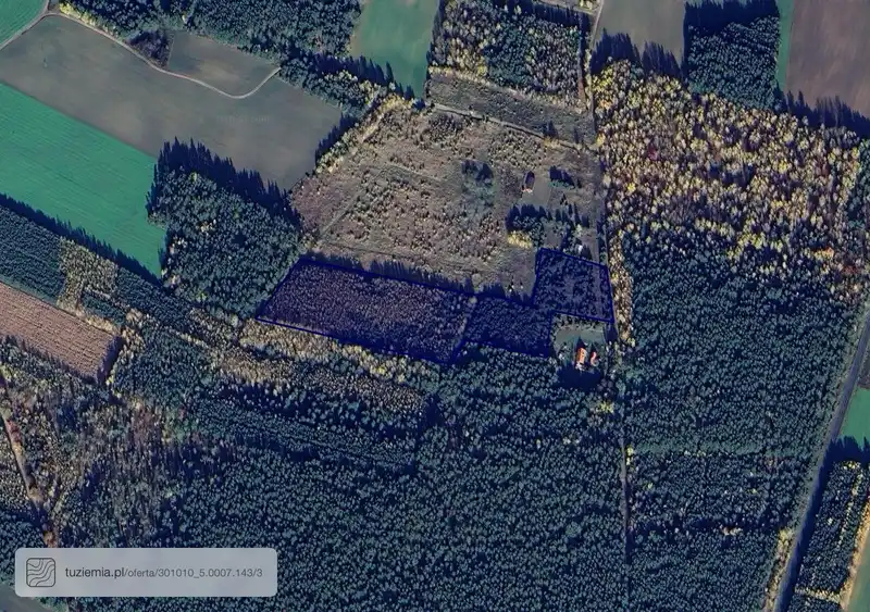 Działka na sprzedaż Kolonia Lipiny