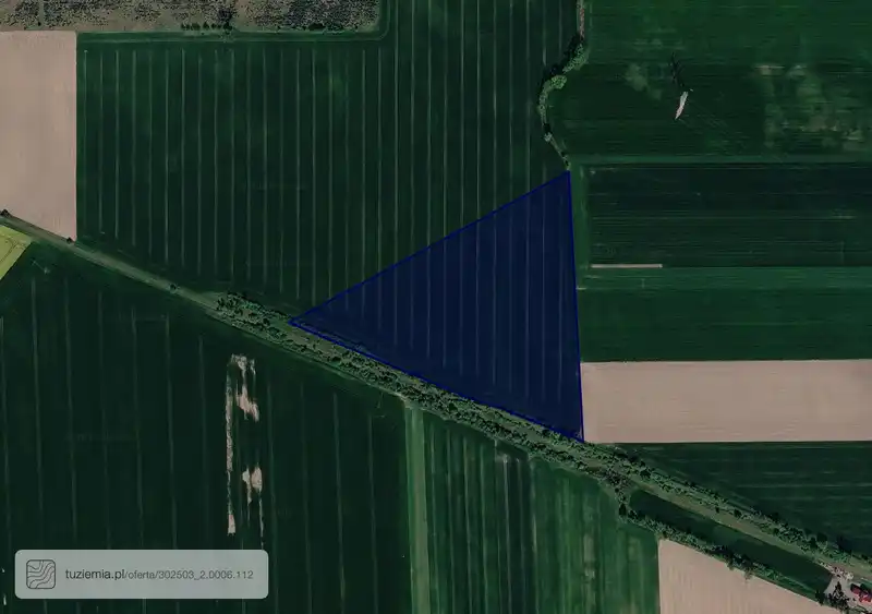 Działka na sprzedaż Panienka