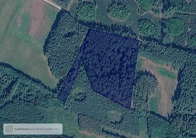 Działka na sprzedaż Wierzbica Górna