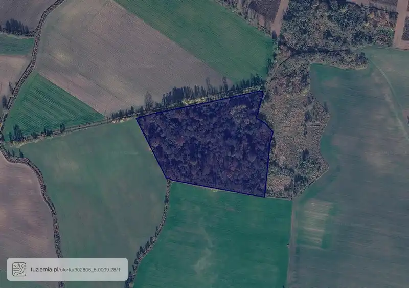 Działka na sprzedaż Jabłkowo-Pomarzanki