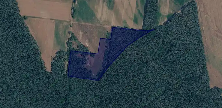 Działka na sprzedaż - DOLNOŚLĄSKIE, górowski, Wąsosz, Wiklina 117