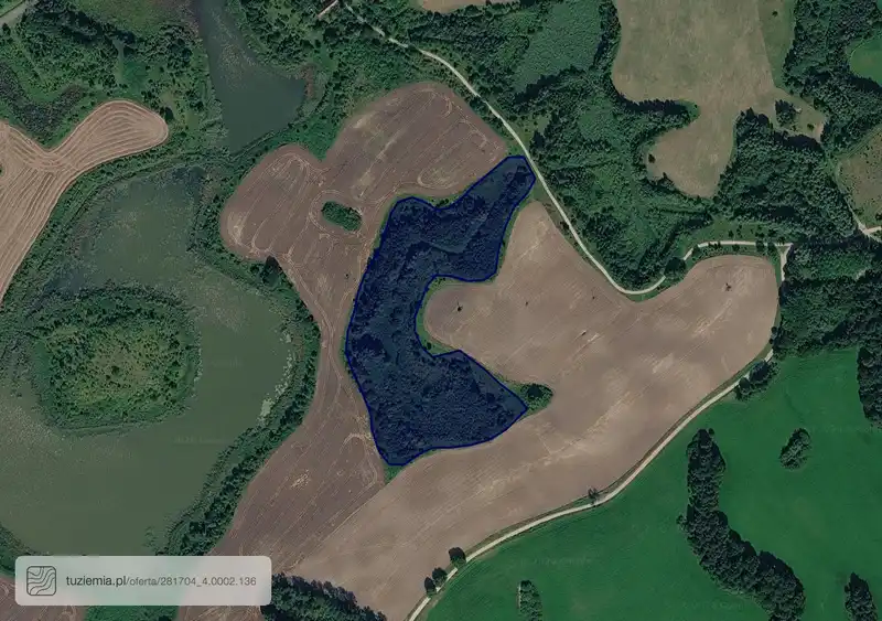 Działka na sprzedaż Pasym