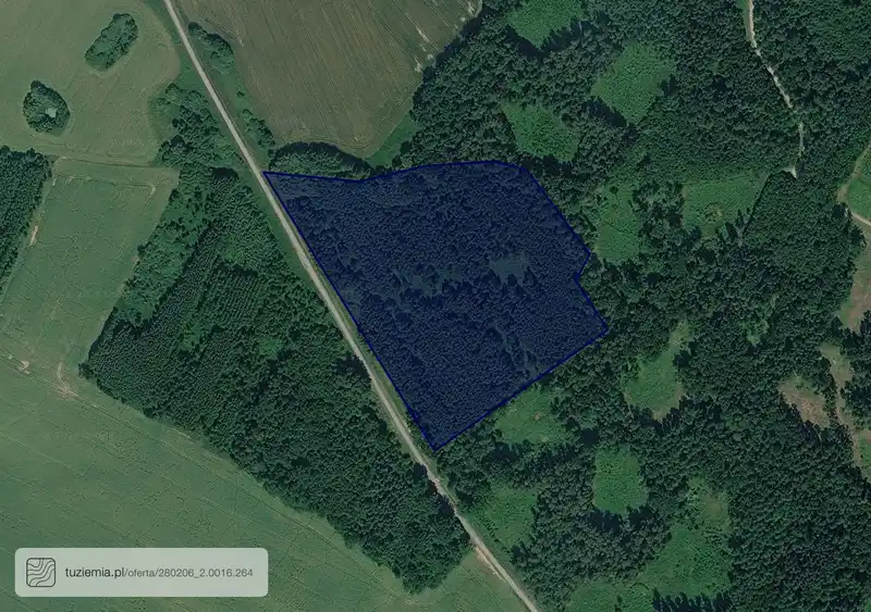 Działka na sprzedaż Tolkowiec