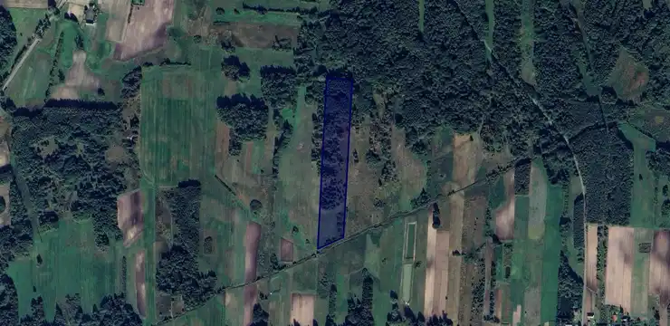 Działka na sprzedaż - LUBELSKIE, łęczyński, Cyców, Kopina 123