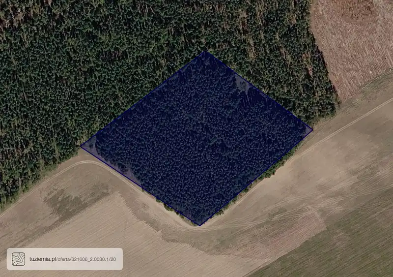 Działka na sprzedaż Lipce