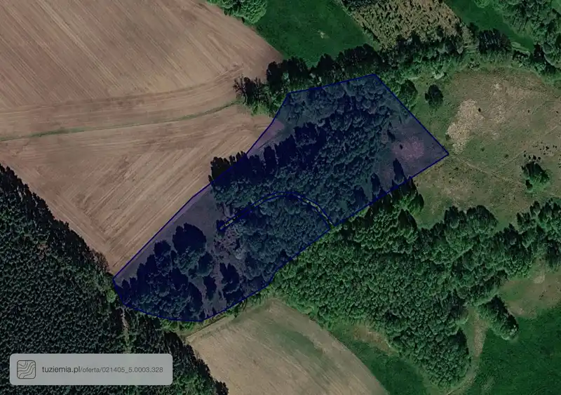 Działka na sprzedaż Dziesławice
