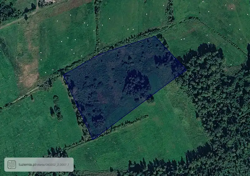 Działka na sprzedaż Dachów