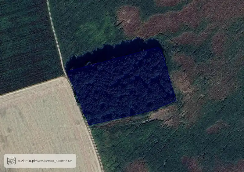 Działka na sprzedaż Witków