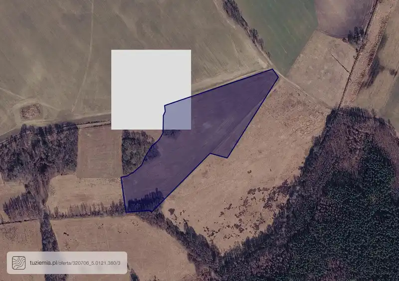 Działka na sprzedaż Kołczewo 1