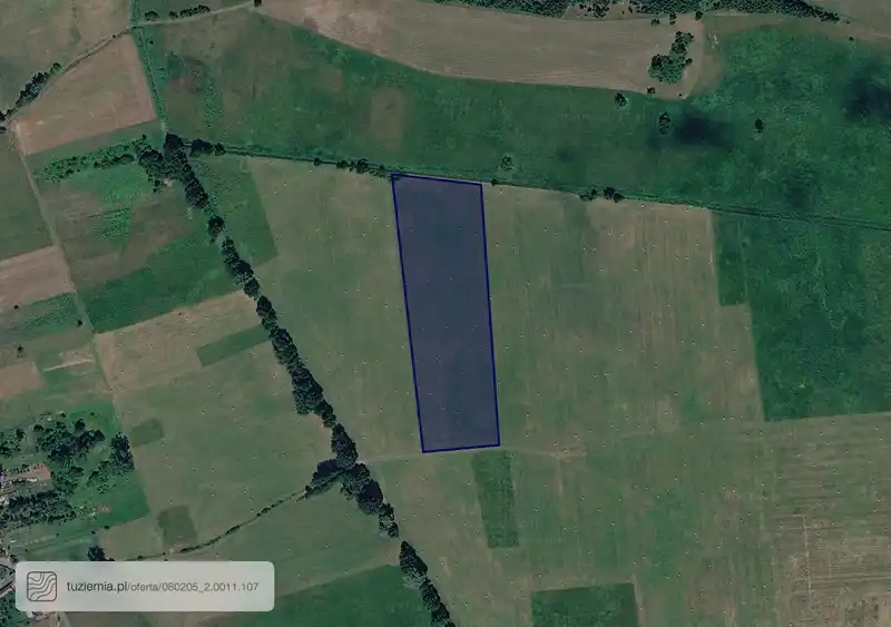 Działka na sprzedaż Drzeńsk Wielki