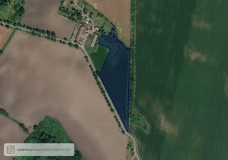 Działka na sprzedaż Wierzbice