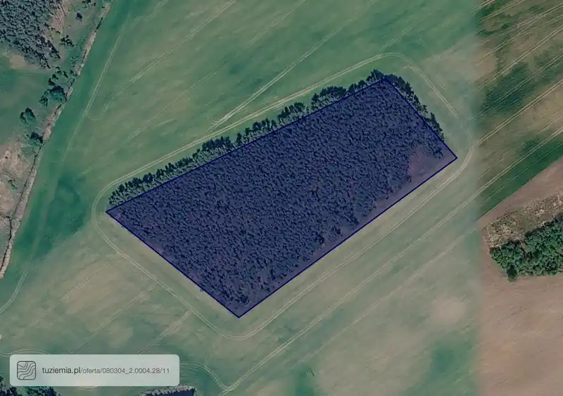 Działka na sprzedaż Szarcz
