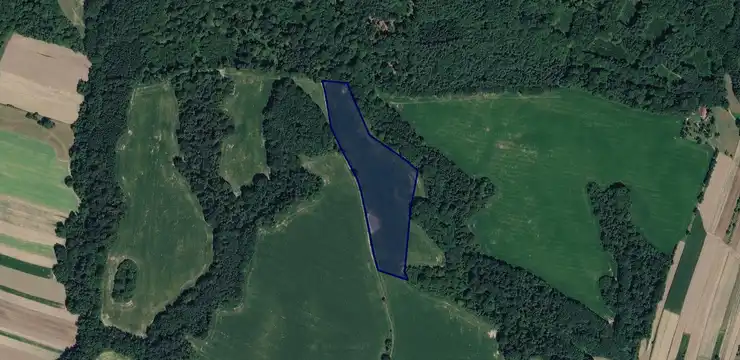 Działka na sprzedaż - OPOLSKIE, strzelecki, Leśnica, Lichynia 895/1