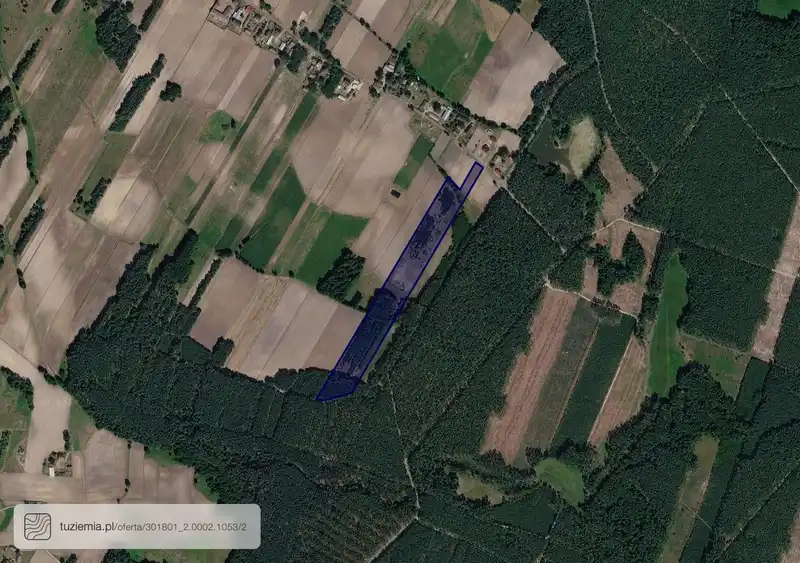 Działka na sprzedaż Klon
