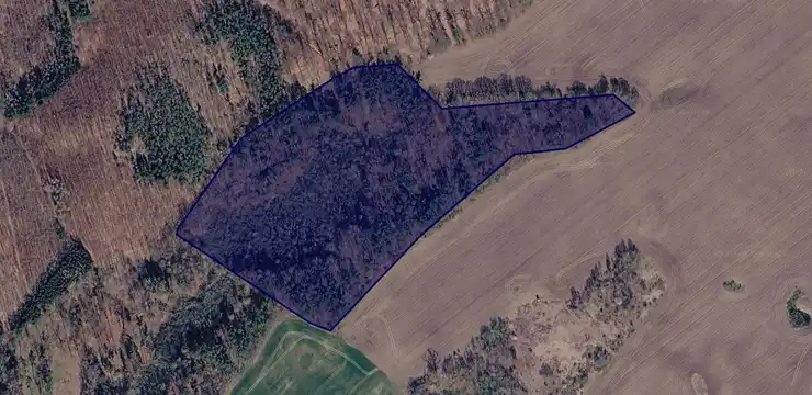 Działka na sprzedaż - ZACHODNIOPOMORSKIE, gryficki, Brojce, Dargosław 1/4