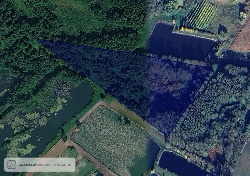 Działka na sprzedaż Zakrzewek