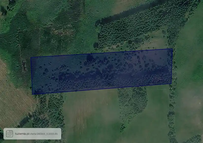 Działka na sprzedaż Drwęczno