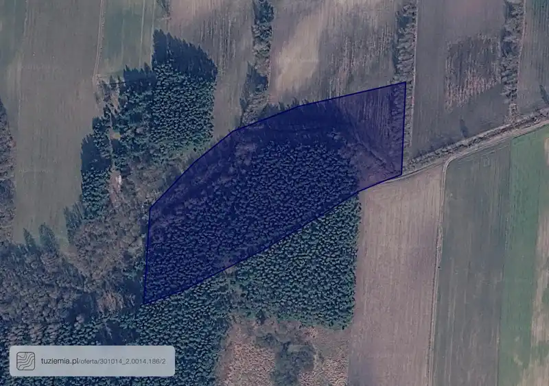 Działka na sprzedaż Wilczyn